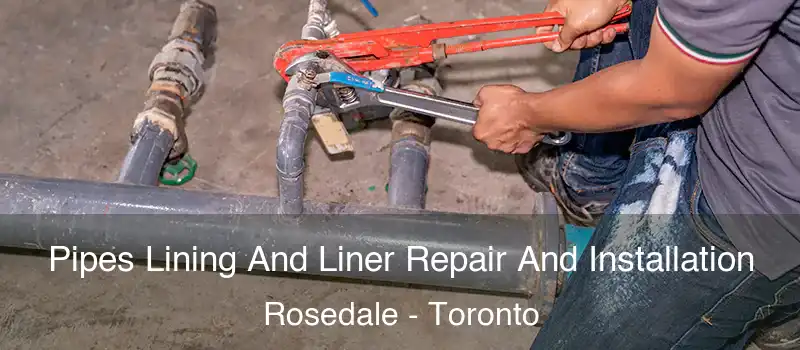 Pipes Lining And Liner Repair And Installation Rosedale - Toronto