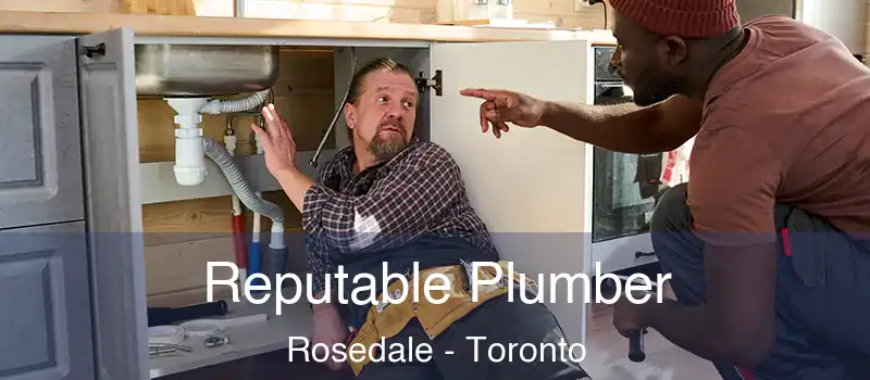 Reputable Plumber Rosedale - Toronto