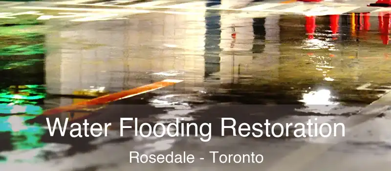 Water Flooding Restoration Rosedale - Toronto